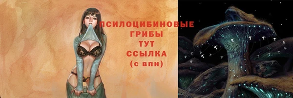 стафф Белоозёрский