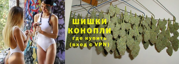 СК Белокуриха