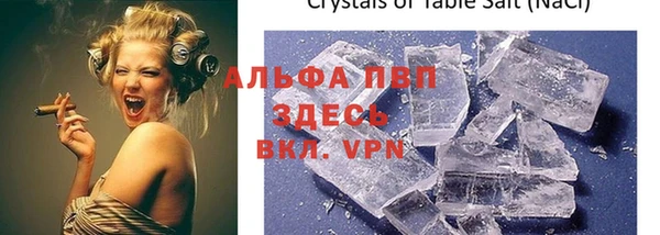 СК Белокуриха