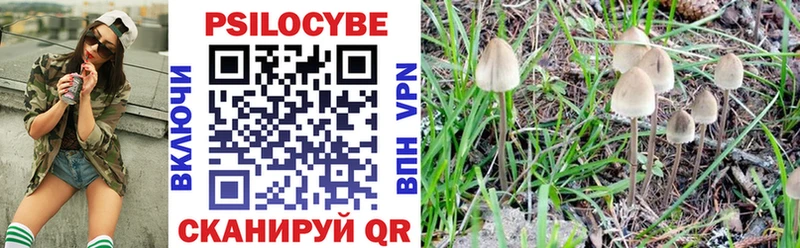 Псилоцибиновые грибы Psilocybe  Нестеров 